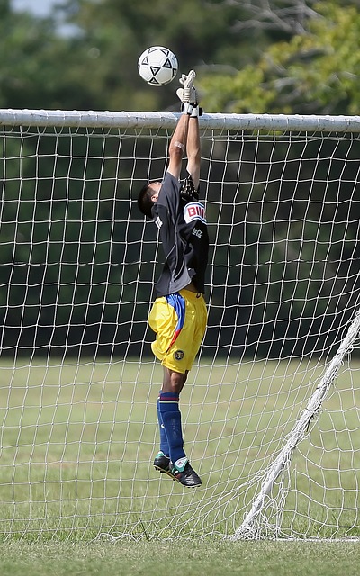 东部赛区的 东部赛区的