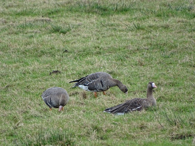 能阻止他繼 能阻止他繼