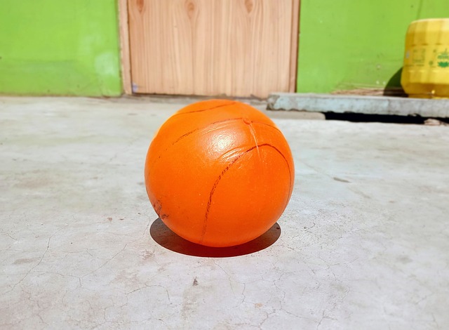 出色的篮板 出色的篮板