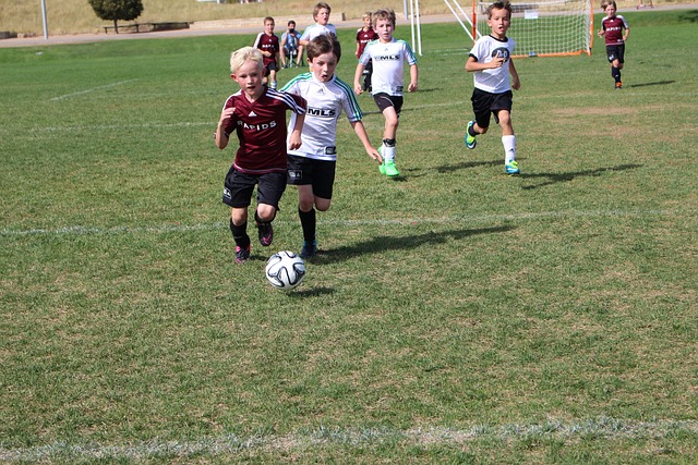 图雷的加盟 图雷的加盟