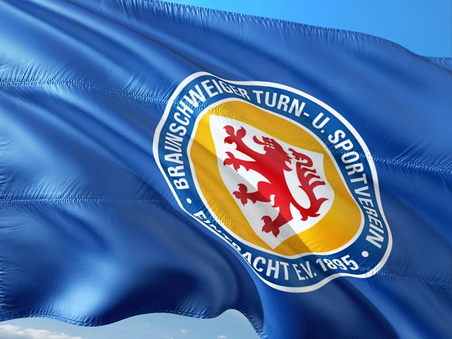 乐部发展形 乐部发展形