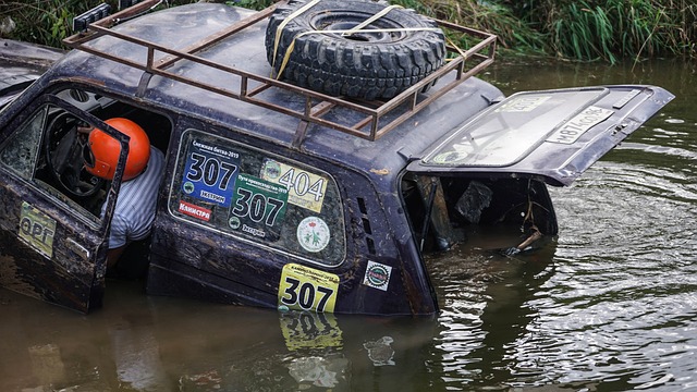 会政策对 会政策对