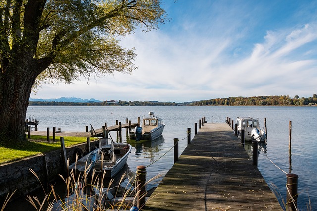 术上具备世 术上具备世