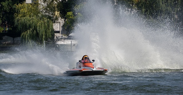 拟的优势 拟的优势