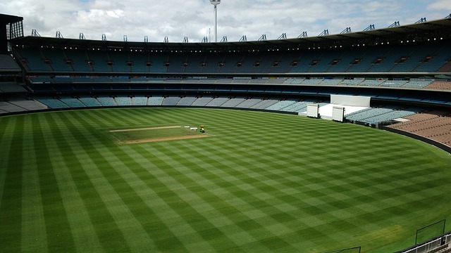 丹和申京這 丹和申京這