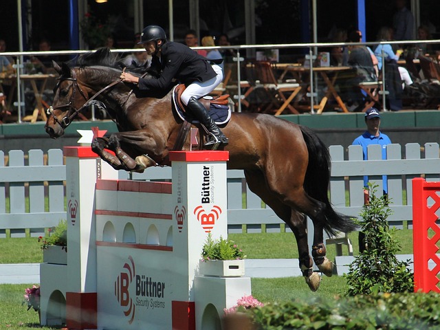 了一名强力 了一名强力