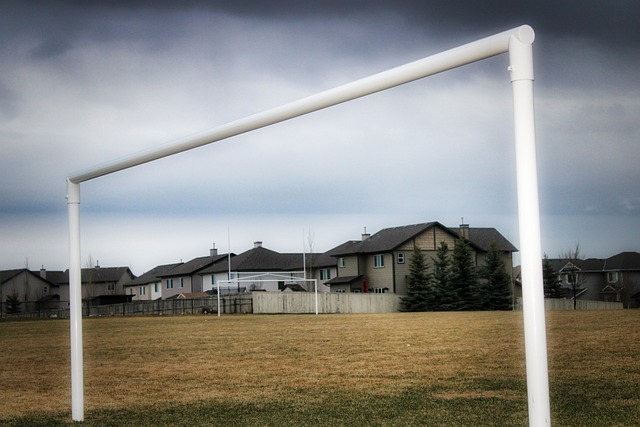 士队力挽狂 士队力挽狂