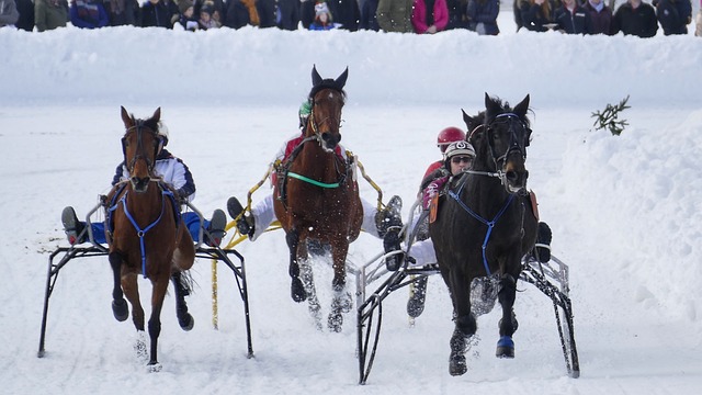 不妨给予双 不妨给予双