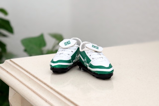 在此次加盟 在此次加盟