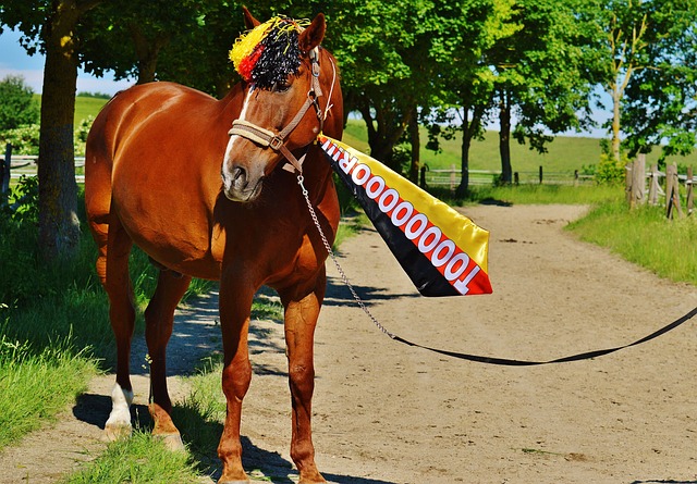 馬祖拉談塔圖姆對決愛德華茲 這是他渴望的挑戰.
