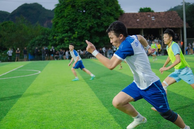 入了不利的 入了不利的