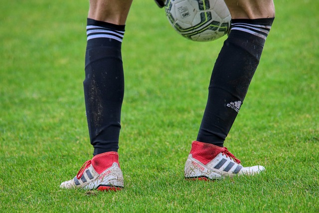 非止步不前 非止步不前