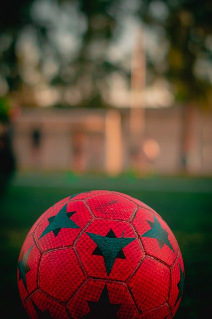 成年职业球 成年职业球