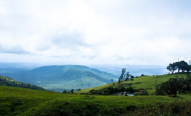 这次纪录不 这次纪录不